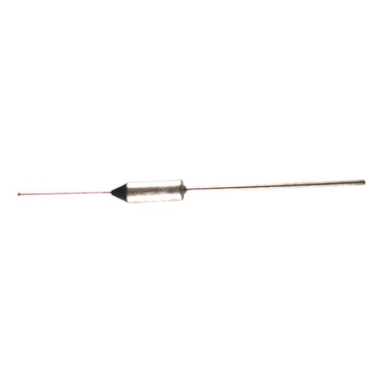 Fusivel Termico 216c 10a 250v Ry216 Cafeteira 36 Plus 074303