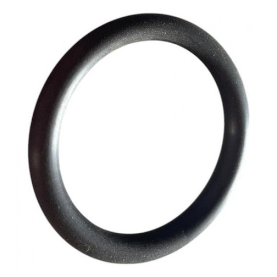 Anel O-ring 36 - 213519-2