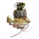 Motor Multiprocessador Completo Ry7621m22