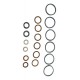 Reparo Bomba Tipo A Bosch (parcial) 9401081131 Original