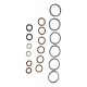 Reparo Bomba Tipo A Bosch (parcial) 9401081131 Original