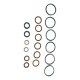 Reparo Bomba Tipo A Bosch (parcial) 9401081131 Original