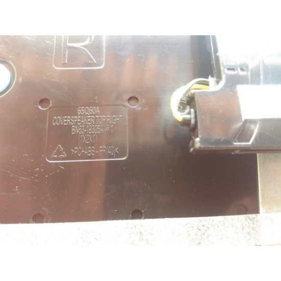 Par De Alto Falantes Tv  Un55au8000 Un55au8000g Novo