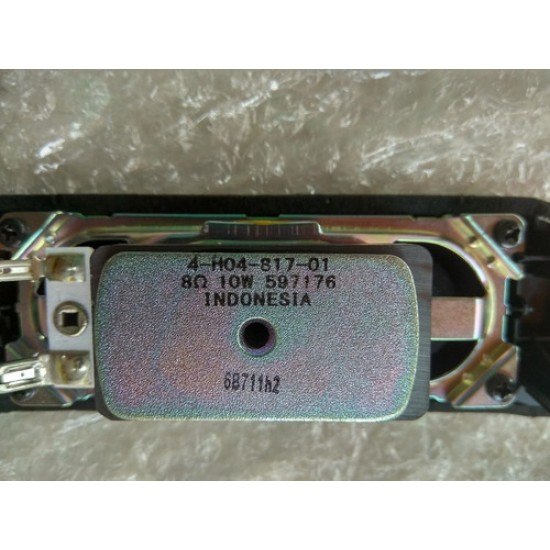 Par Alto Falante Sony Kdl-48r555c 48r555c